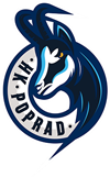 away team icon