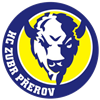 home team icon